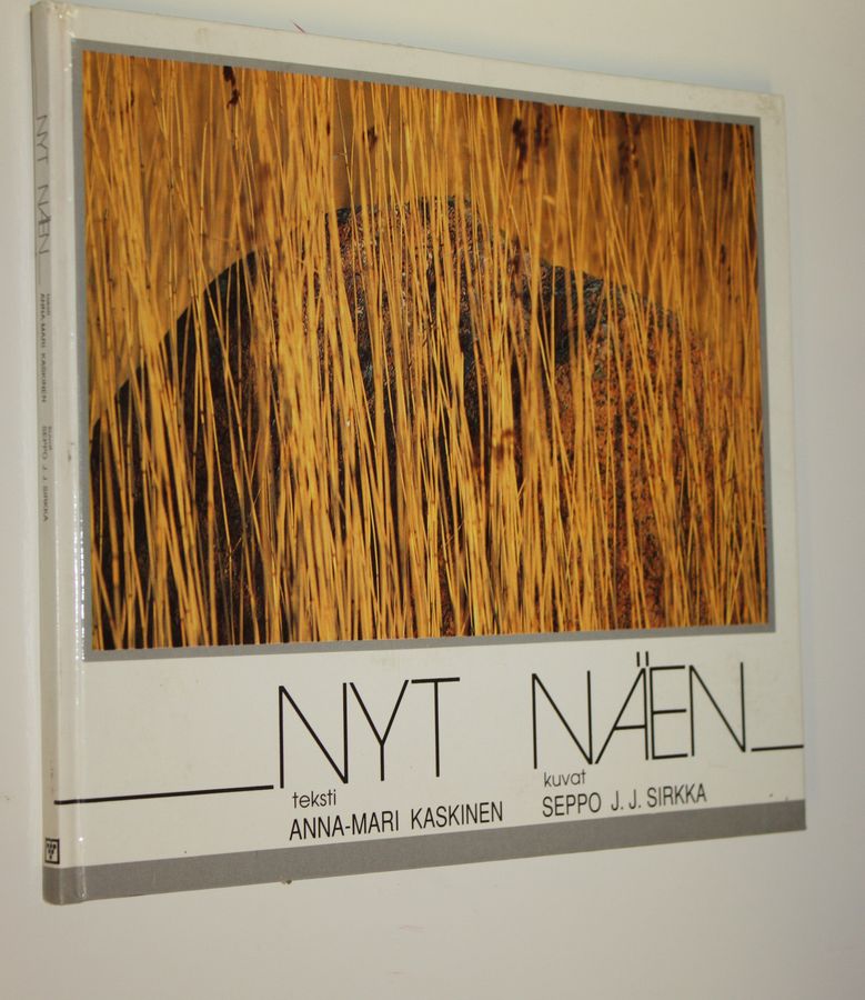 Anna-Mari Kaskinen : Nyt näen