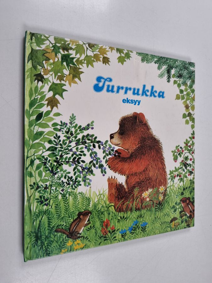 Turrukka eksyy