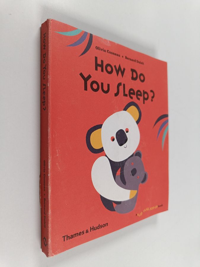 Bernard Duisit ym. : How Do You Sleep?