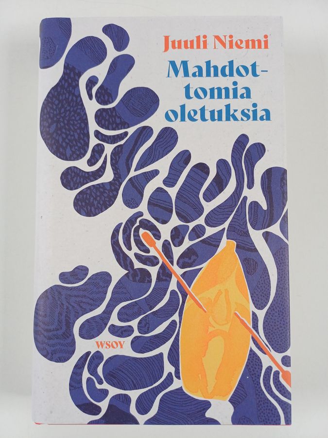 Juuli Niemi : Mahdottomia oletuksia