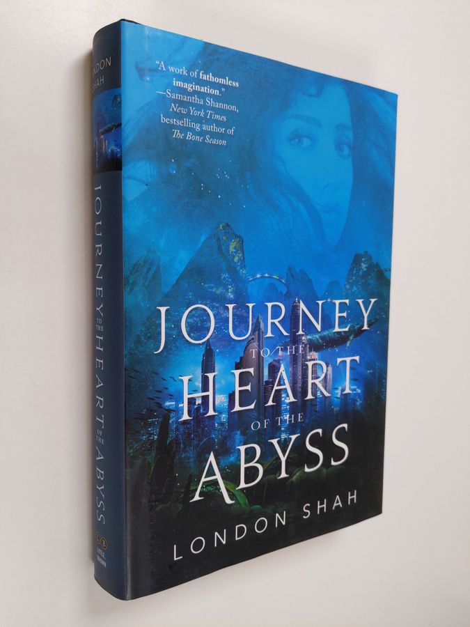 Journey to the heart of the abyss