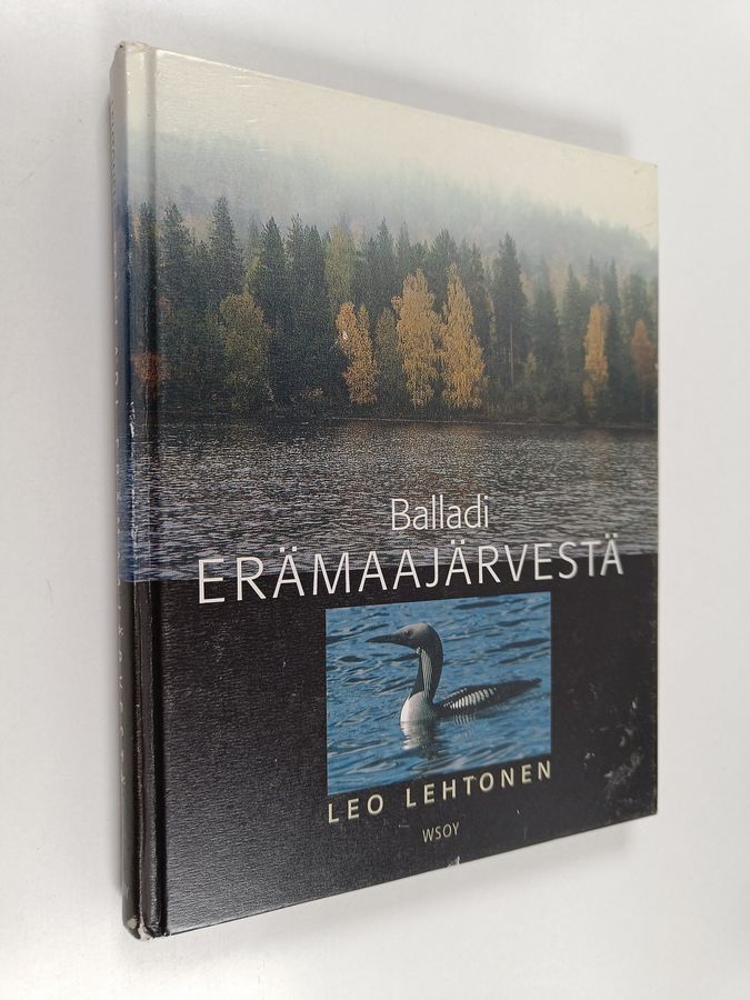 Balladi erämaajärvestä