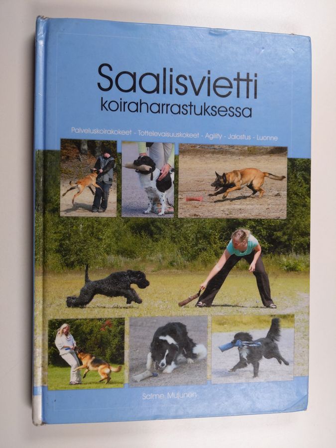 Saalisvietti koiraharrastuksessa