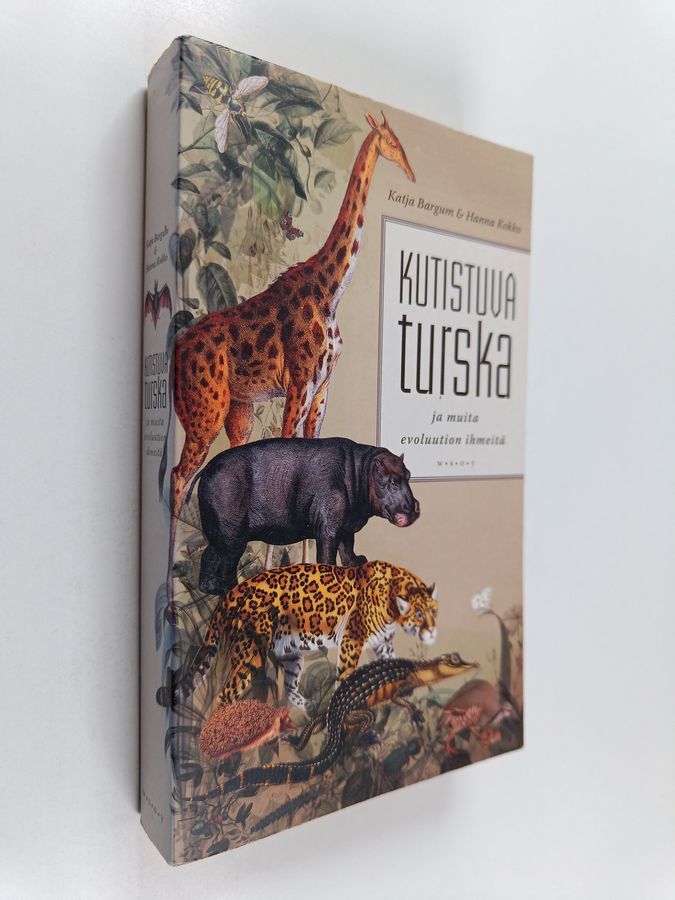Kutistuva turska ja muita evoluution ihmeitä