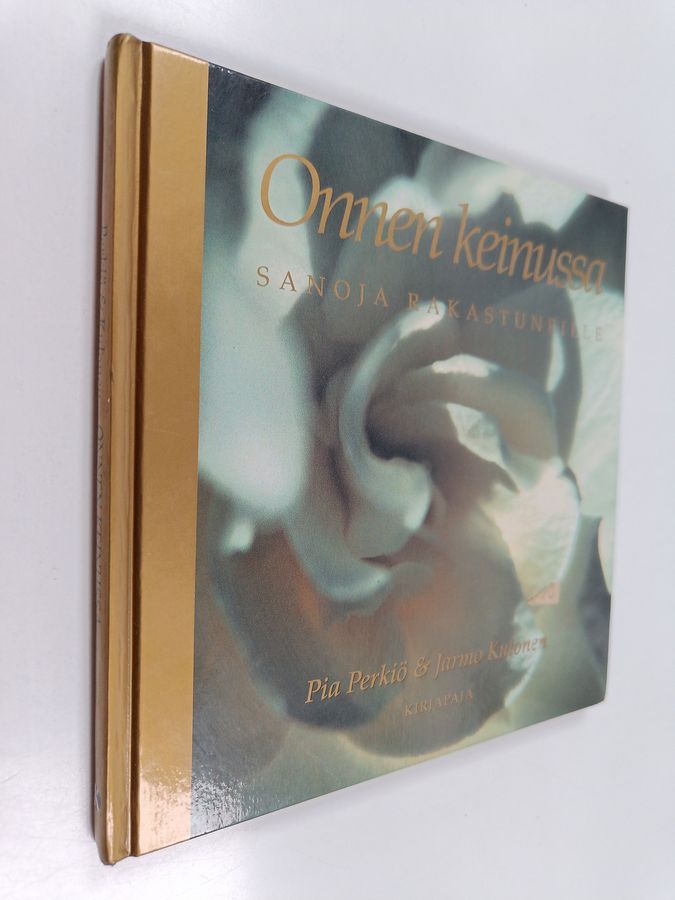 Onnen keinussa