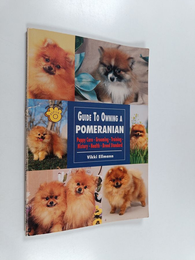 Guide to Owning a Pomeranian