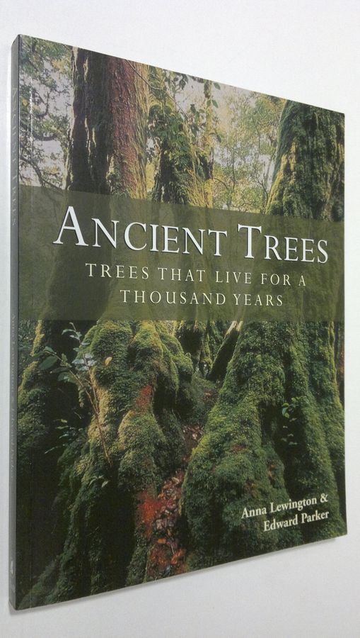 trees that live for a thousand years