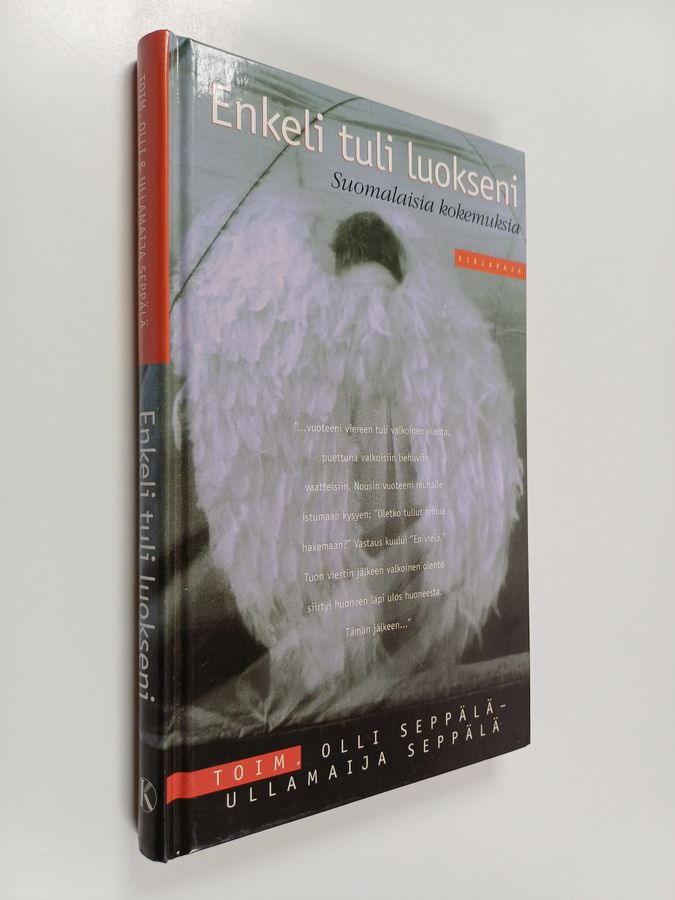 Enkeli tuli luokseni