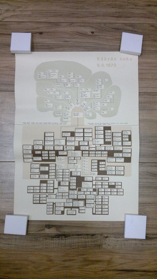 Käävän suku 9.6.1979 sukupuu