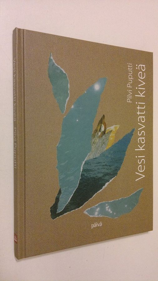 Pilvi Puputti : Vesi kasvatti kiveä