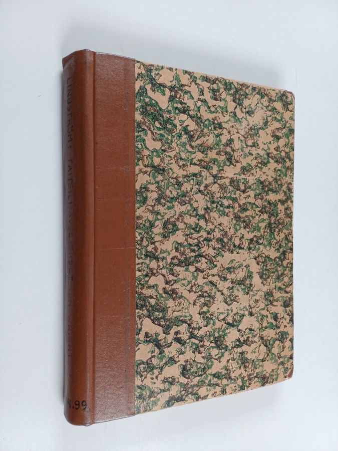 Taiteilijaveljekset von Wright