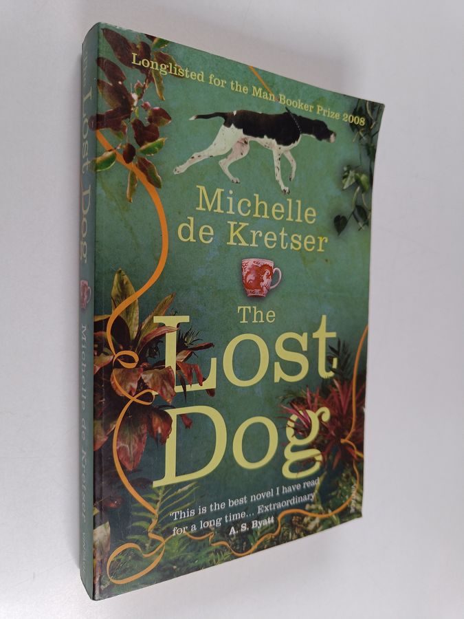The lost dog