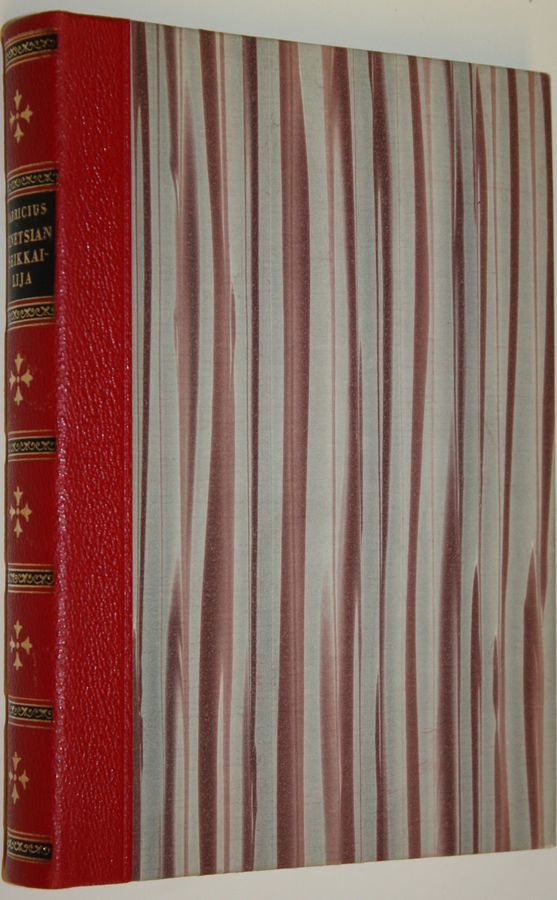 Johan Fabricius : Venetsian seikkailija