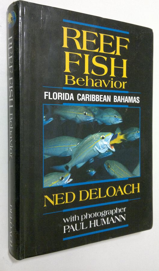 Florida, Caribbean, Bahamas