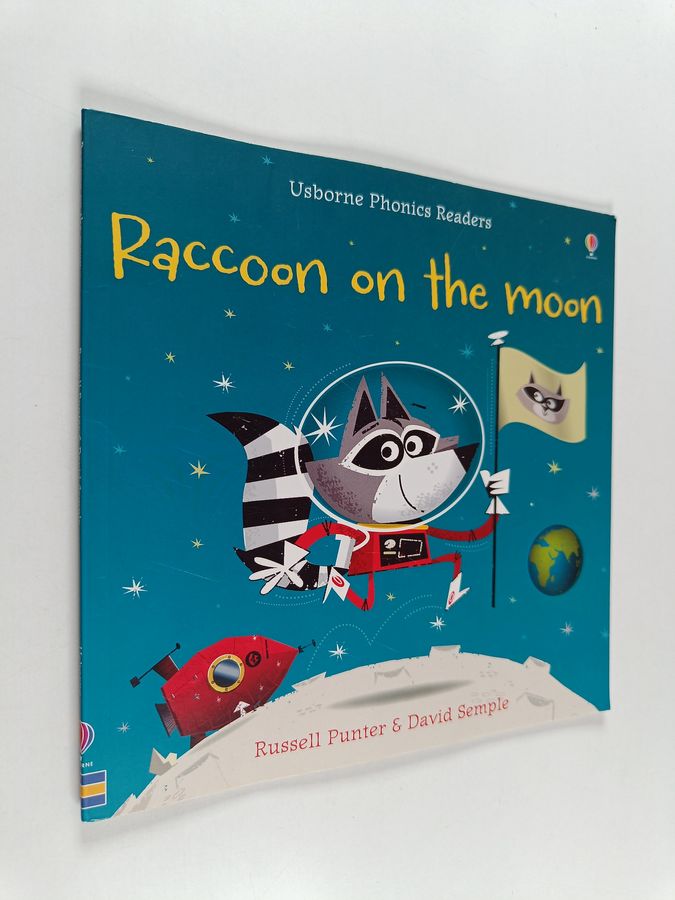 Raccoon on the moon