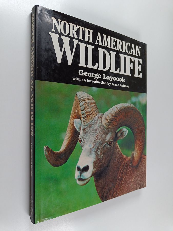North American Wildlife