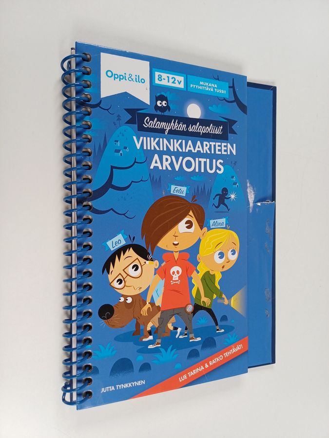 Jutta Tynkkynen : Viikinkiaarteen arvoitus