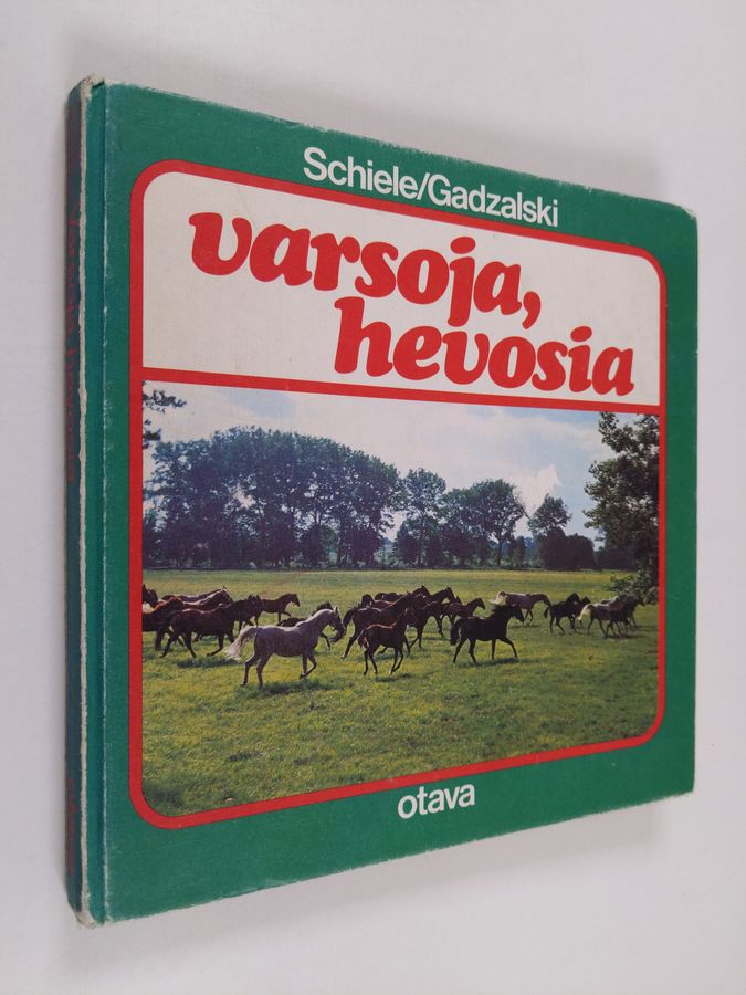 Varsoja, hevosia