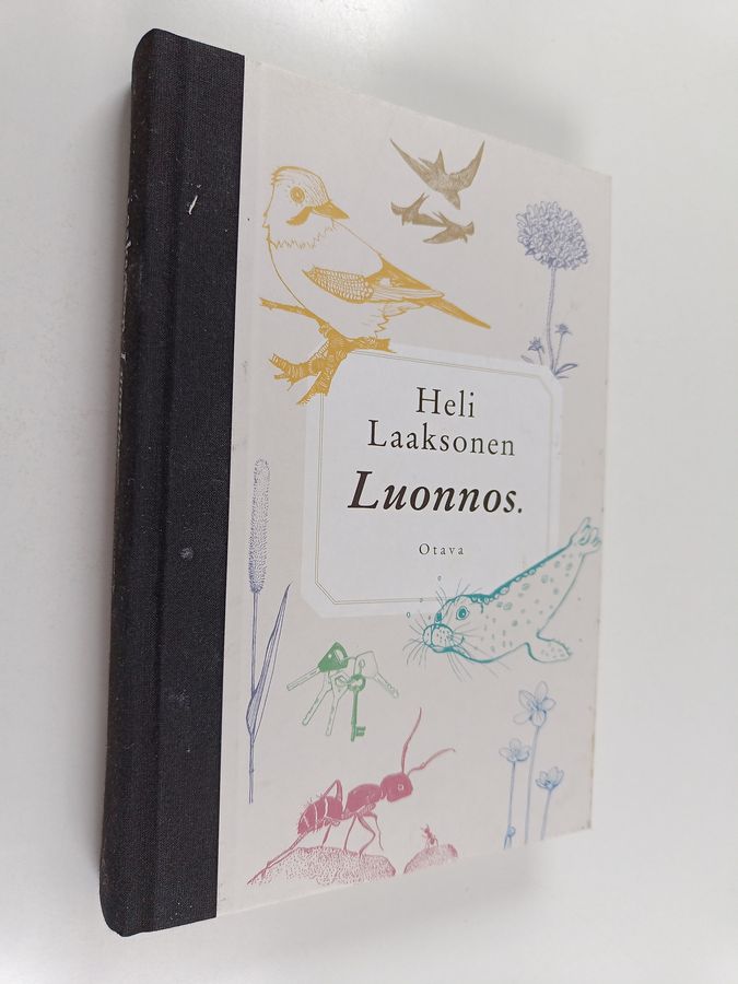 Heli Laaksonen : Luonnos.