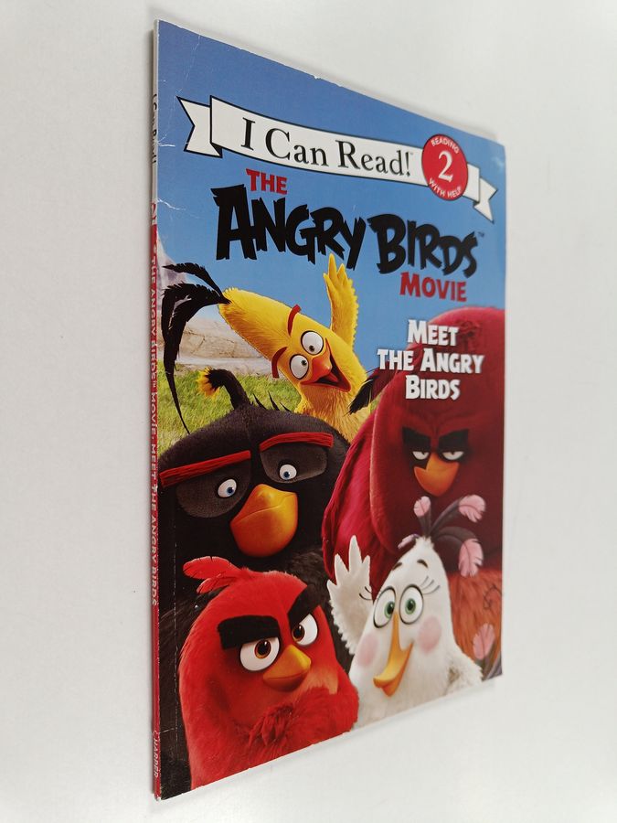 Meet the Angry Birds