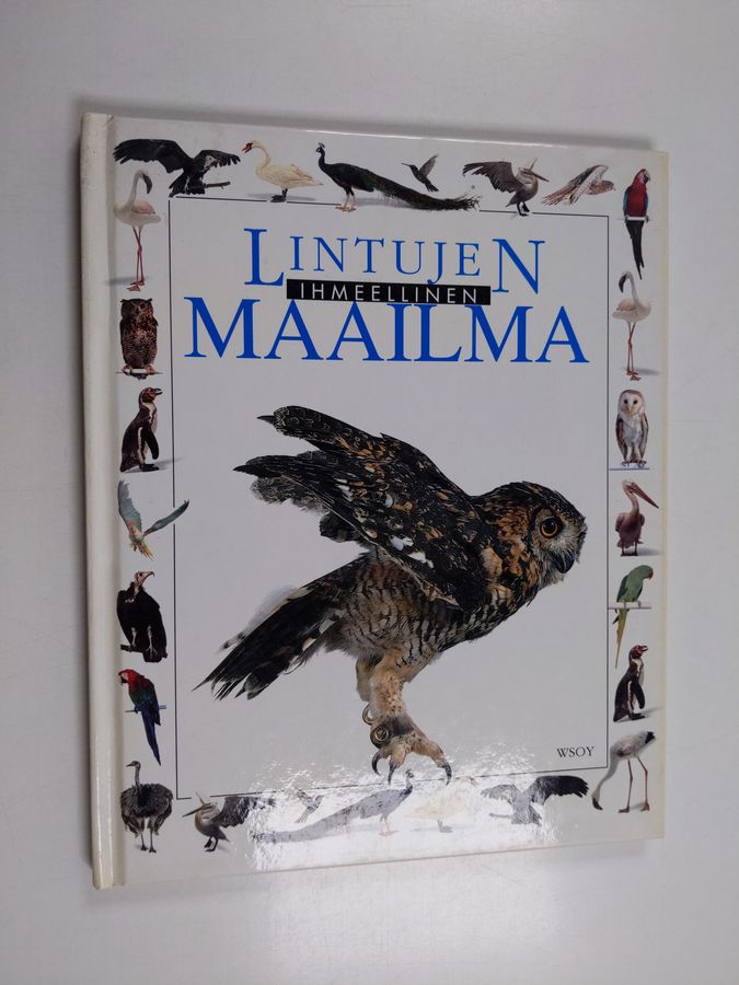 Lintujen ihmeellinen maailma