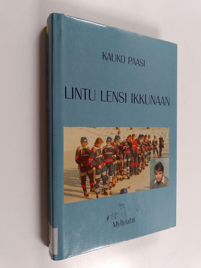 Lintu lensi ikkunaan