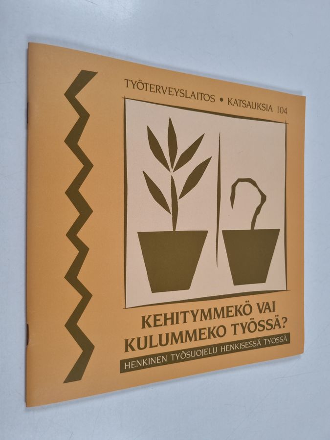 Kehitymmekö vai kulummeko työssä?