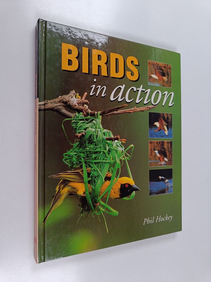 Birds in action