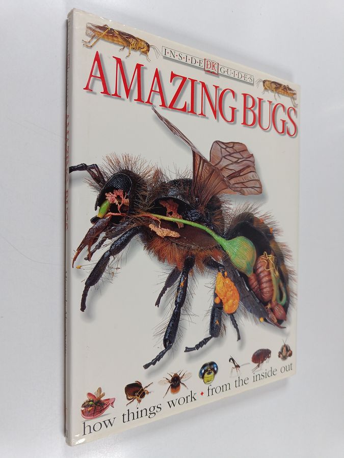 Amazing bugs