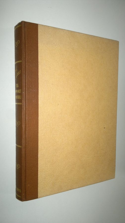 Joel Laikka : Itseoppinut konsuli : leikillinen romaani