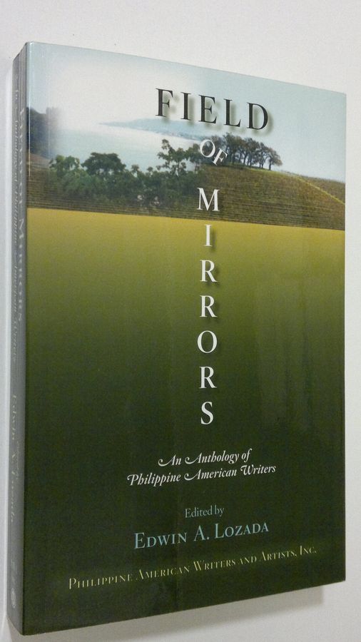 Field of Mirrors