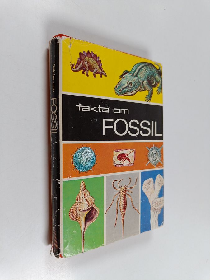 Fakta om fossil