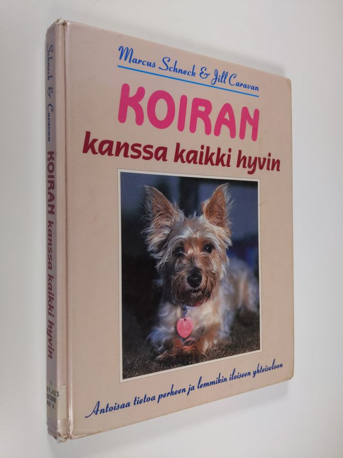 Koiran kanssa kaikki hyvin