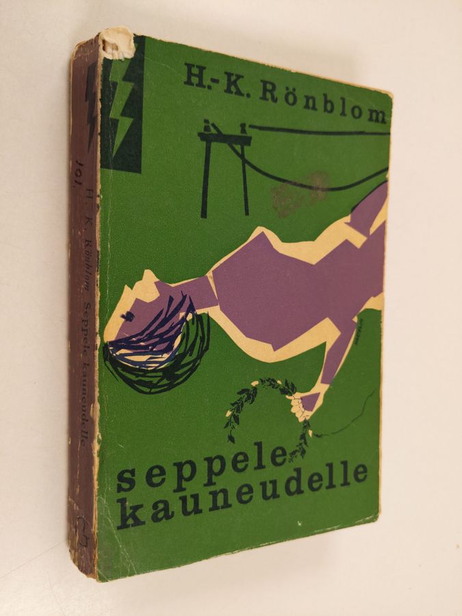 Seppele kauneudelle : salapoliisiromaani