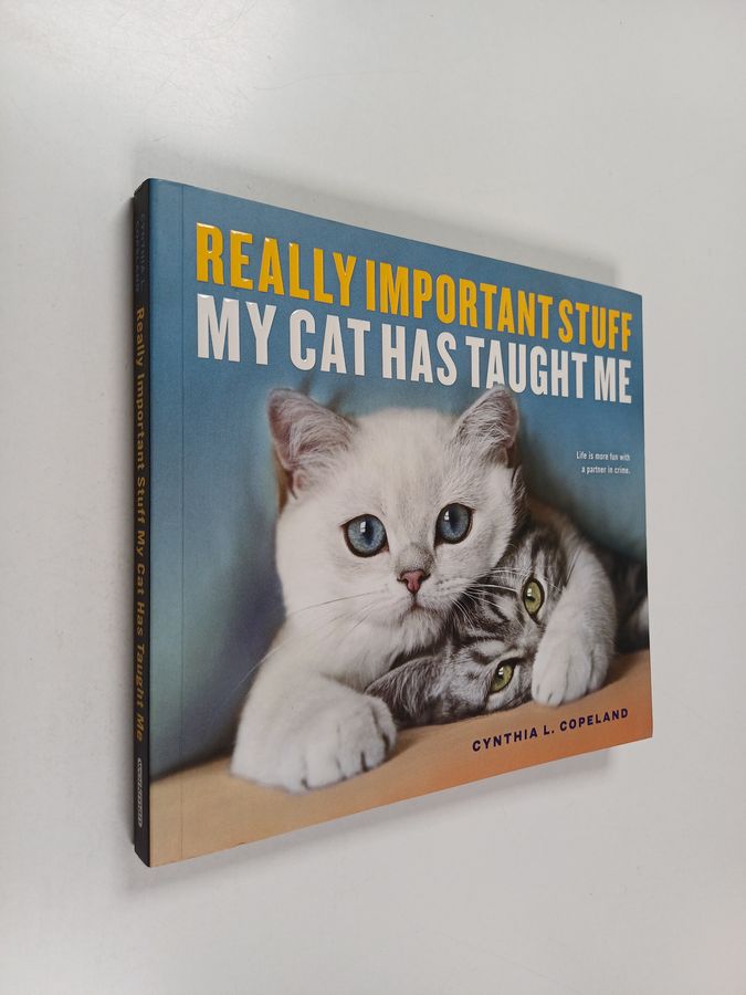 Really Important Stuff My Cat Has Taught Me