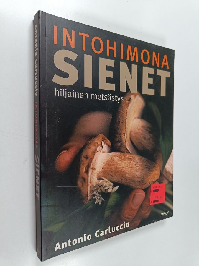 Intohimona sienet