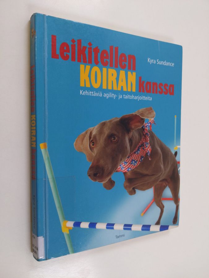 Leikitellen koiran kanssa