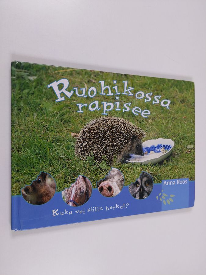 Ruohikossa rapisee