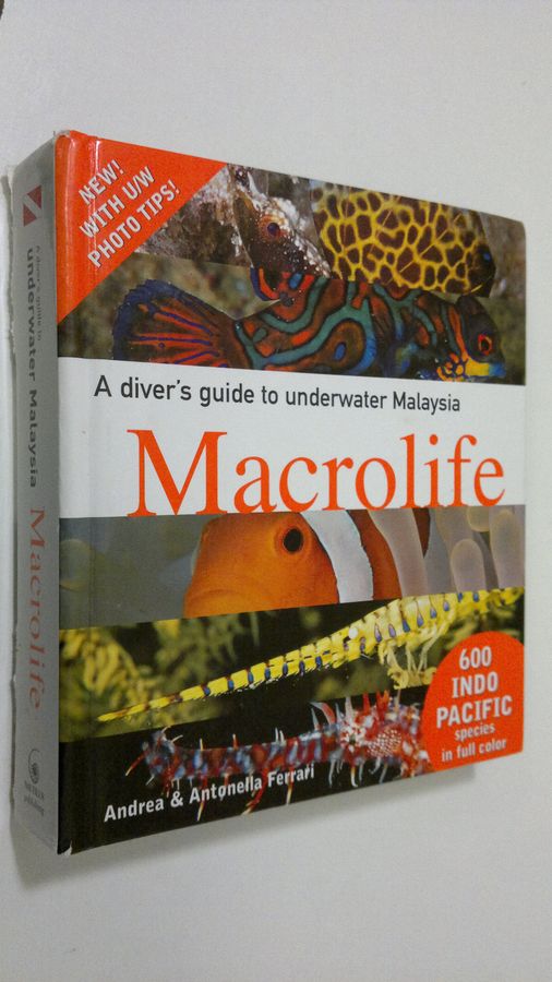 A Diver's Guide to Underwater Malaysia