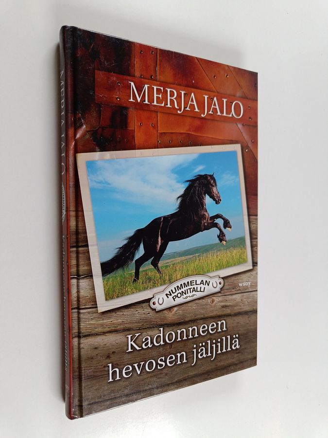 Kadonneen hevosen jäljillä