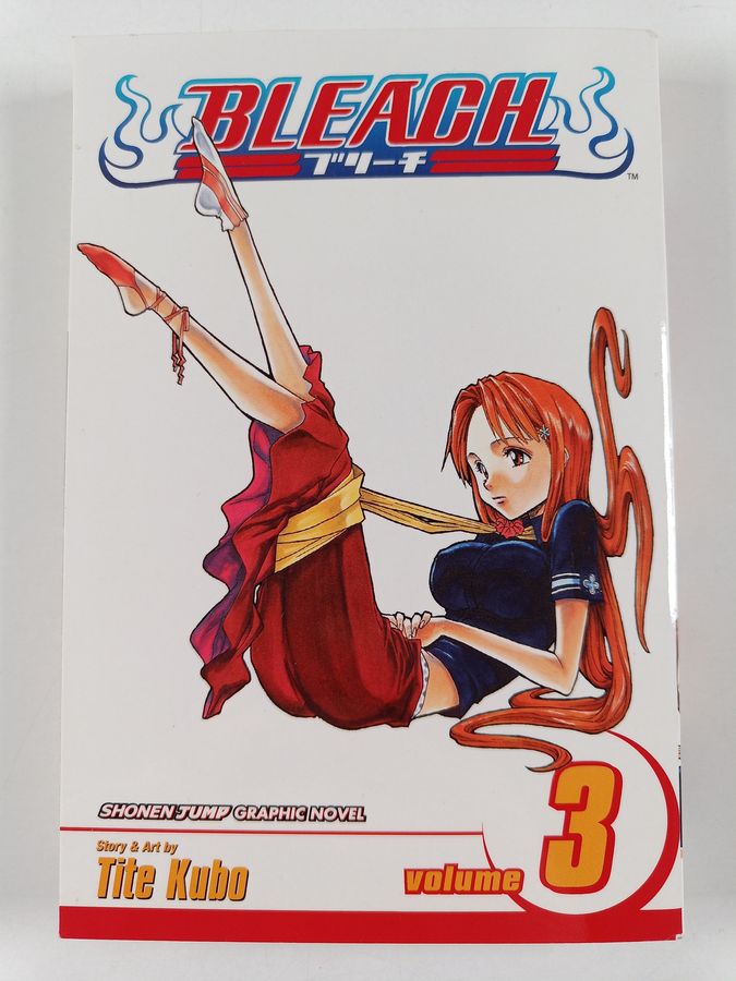 Bleach, Vol. 3