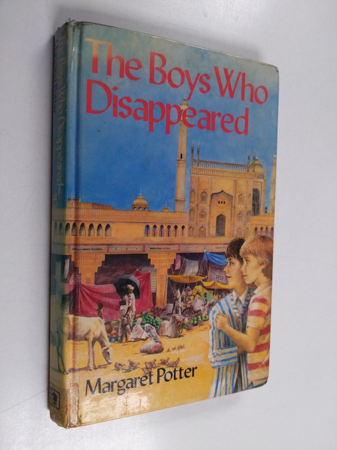 The boys who disappeared