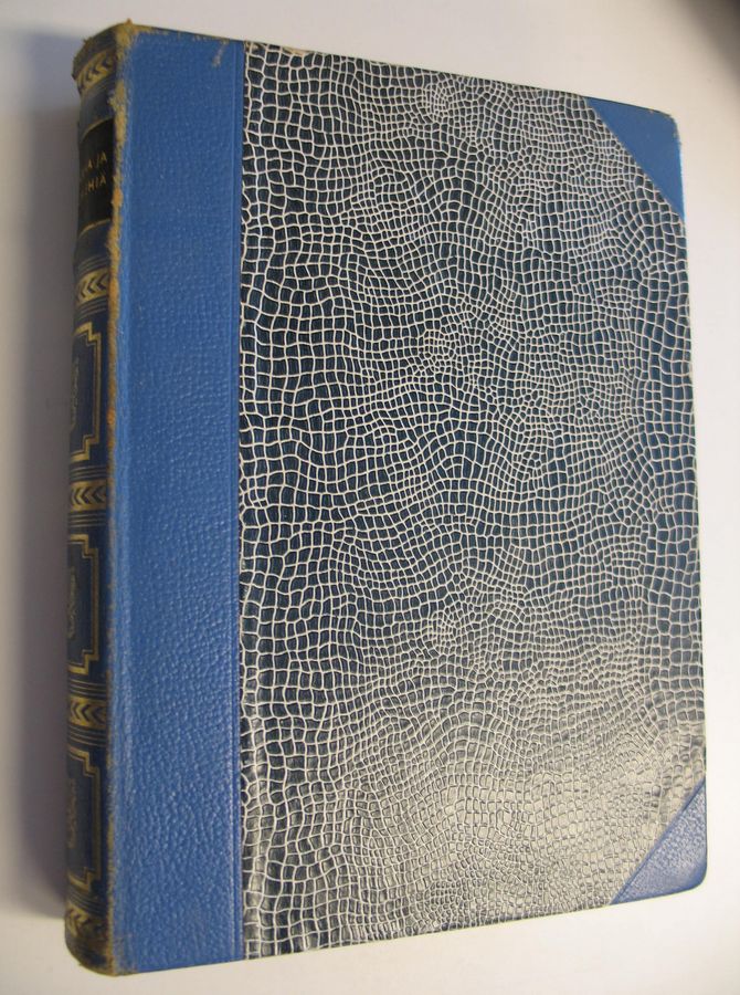 Lauri ym. Ailio : Politiikkaa ja merkkimiehiä