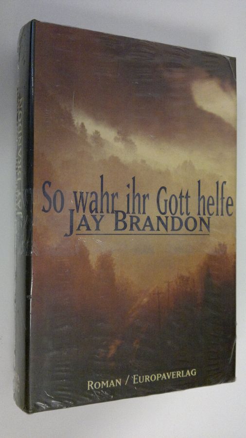 Jay Brandon : So wahr ihr Gott helfe : Roman