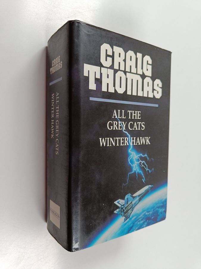 All the Grey Cats - Winter Hawk
