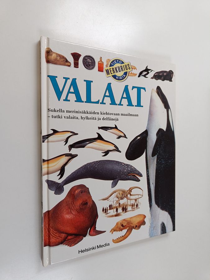 Vassili Papastavrou : Valaat
