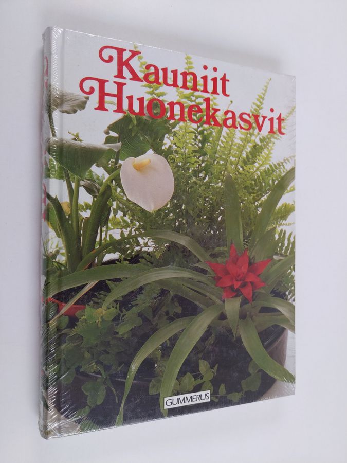 Tuula (suom.) Syvänperä : Kauniit huonekasvit