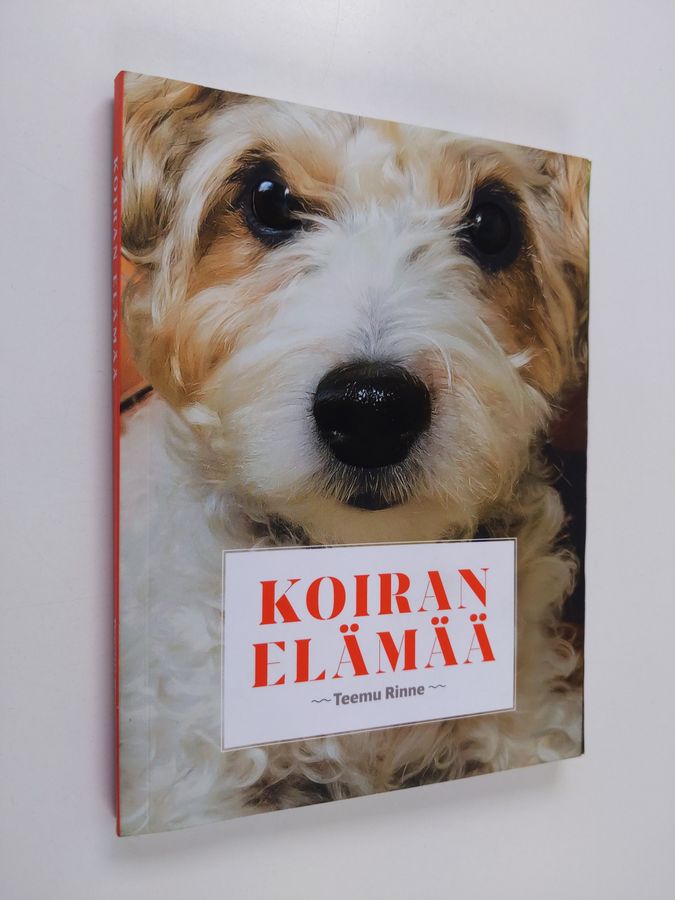 Teemu Rinne : Koiran elämää