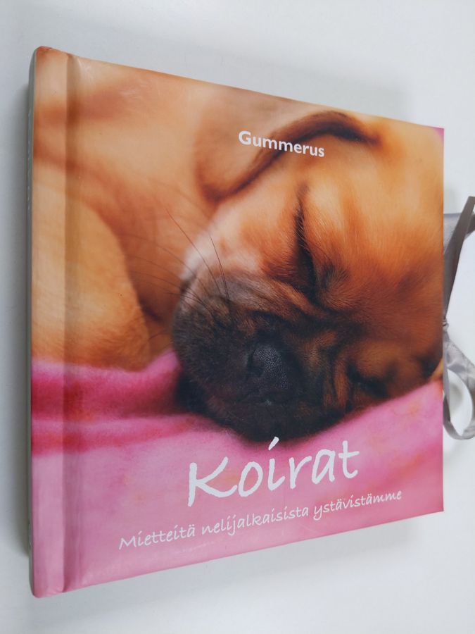 Päivi (suom.) Rekiaro : Koirat : mietteitä nelijalkaisista ystävistämme