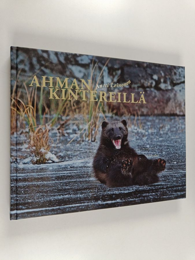 Antti Leinonen : Ahman kintereillä